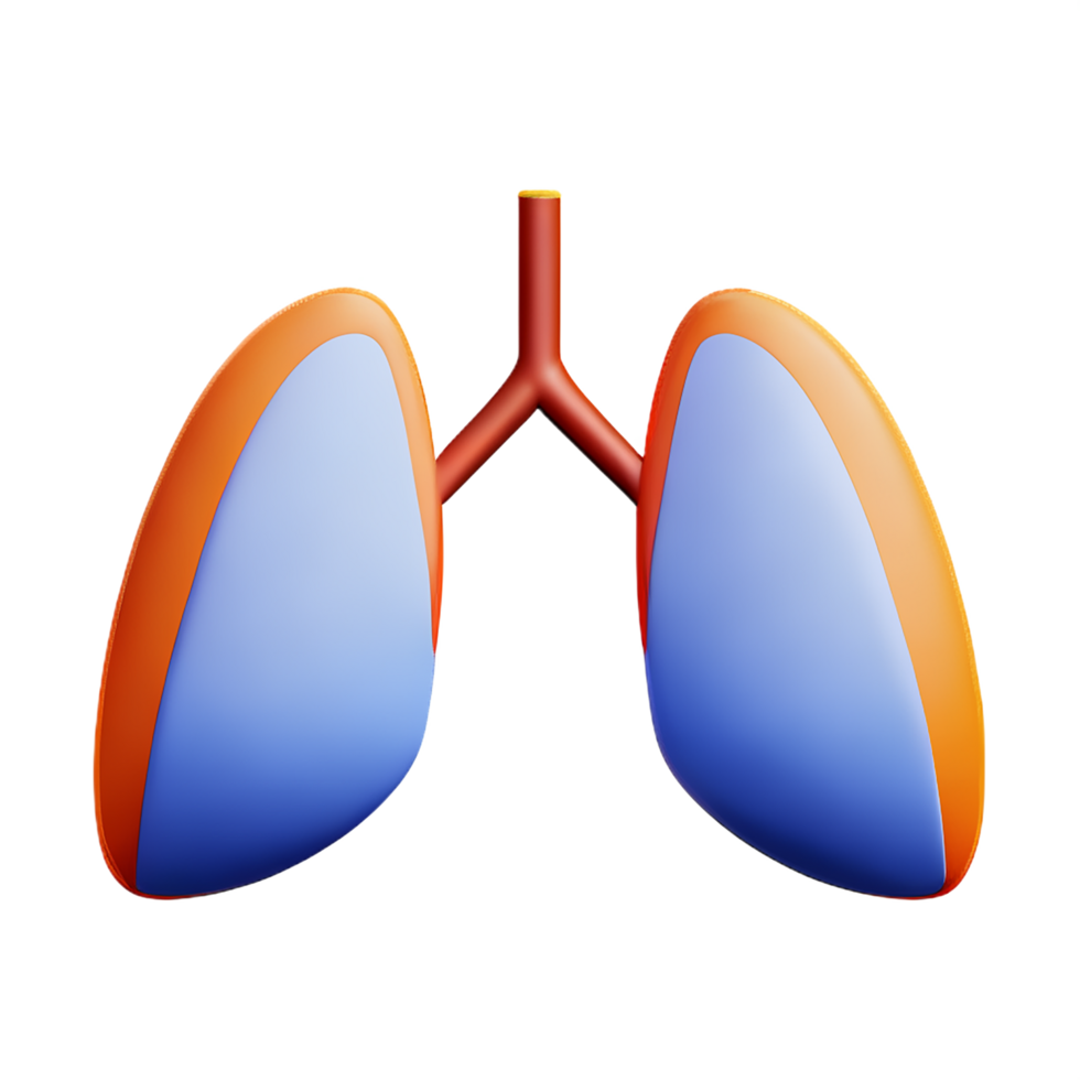 lungs 3d rendering icon illustration png