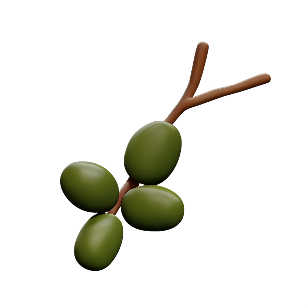 olive branch 3d rendering icon illustration png