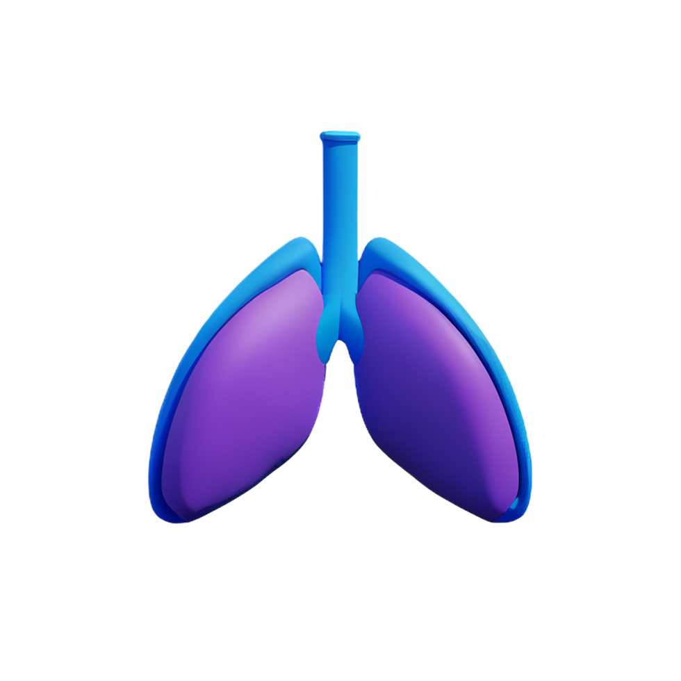 lungs 3d rendering icon illustration png