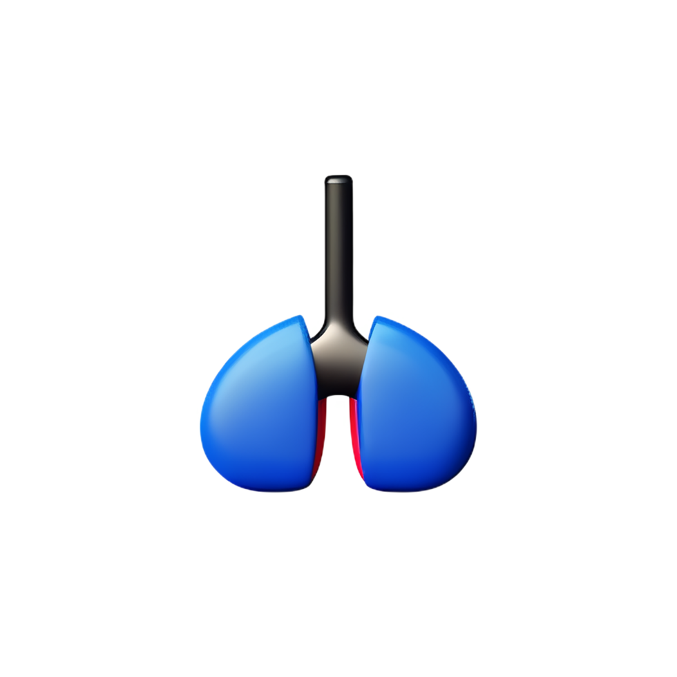 lungs 3d rendering icon illustration png