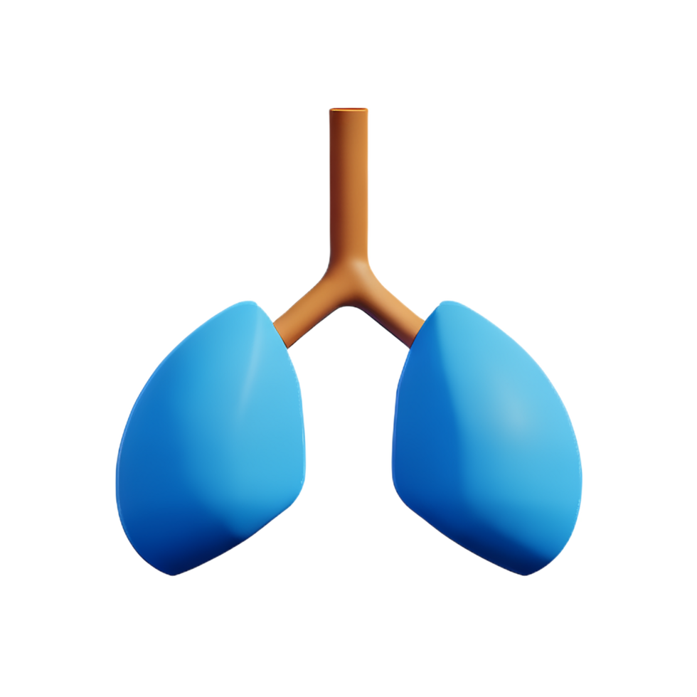 lungs 3d rendering icon illustration png
