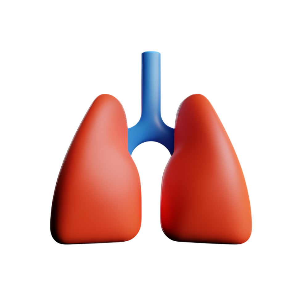 lungs 3d rendering icon illustration png