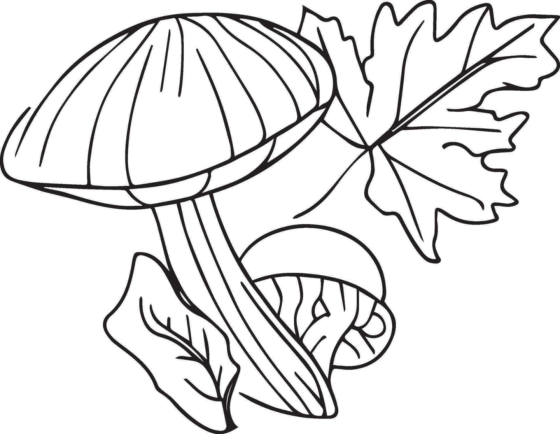 Hand drawing autumn coloring sheet, Harvest autumn coloring pages, fall