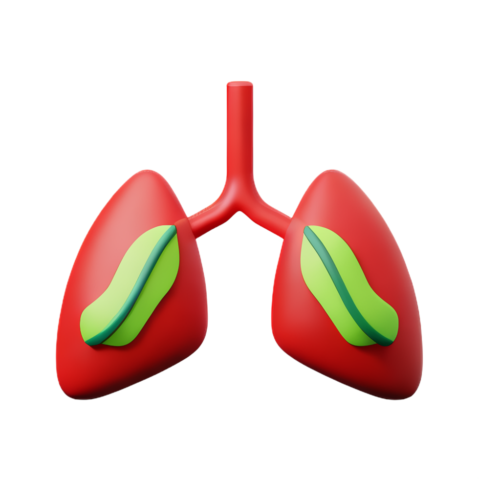 lungs 3d rendering icon illustration png