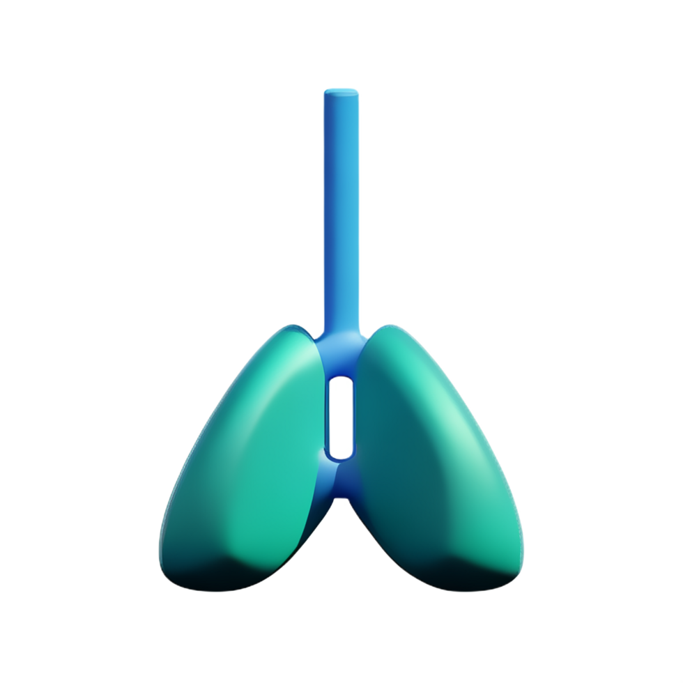 lungs 3d rendering icon illustration png