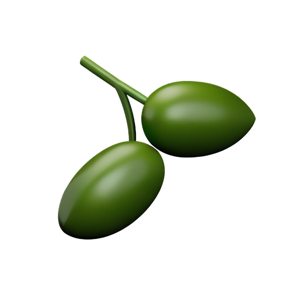 olive branch 3d rendering icon illustration png