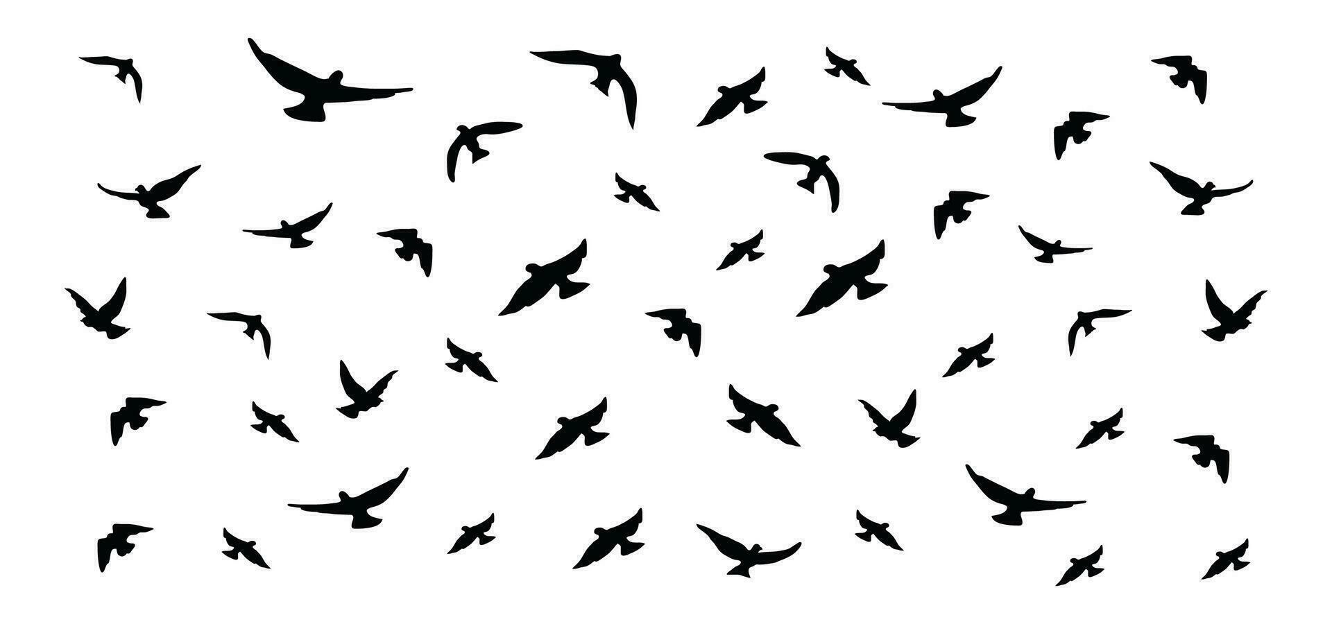 Silhouettes of flying birds and animals in silhouette vector