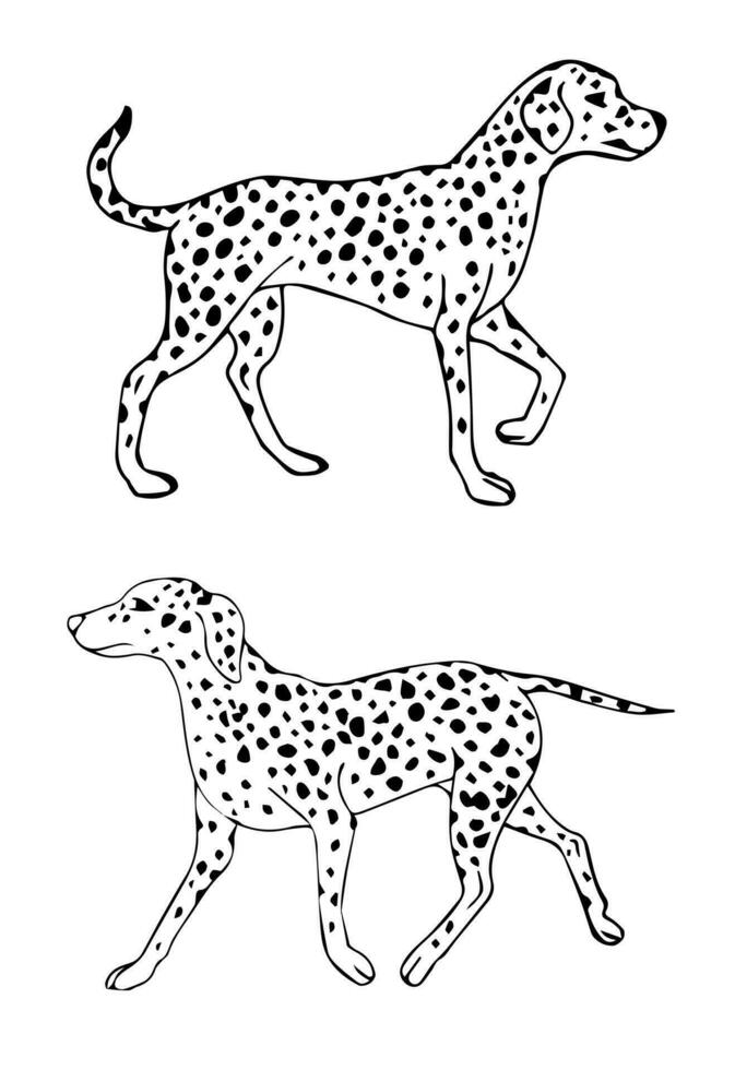 Vector black outline hand drawn Dalmatian