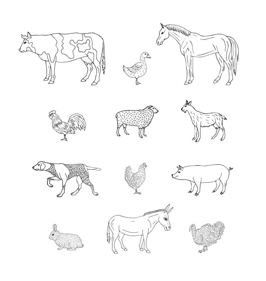 Vector set of flat outline domestic animals