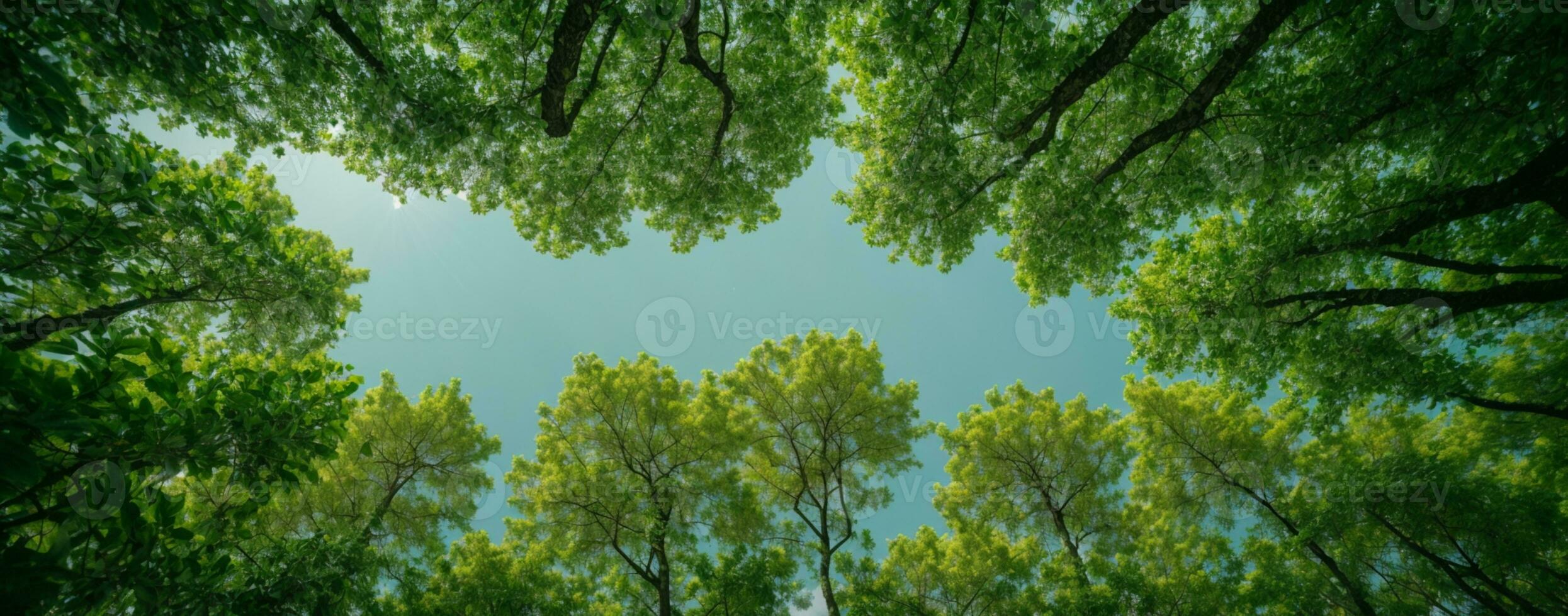 Looking up at the green tops of trees. AI generated photo