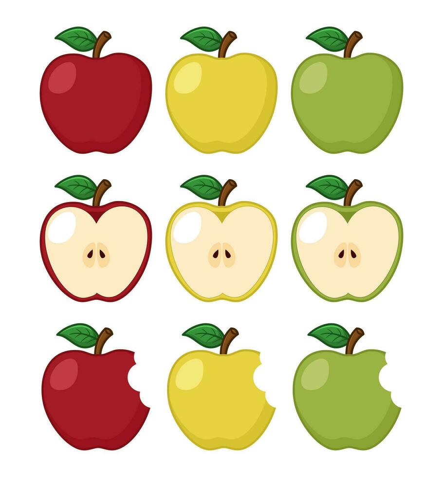 Vector variety of apples on white background