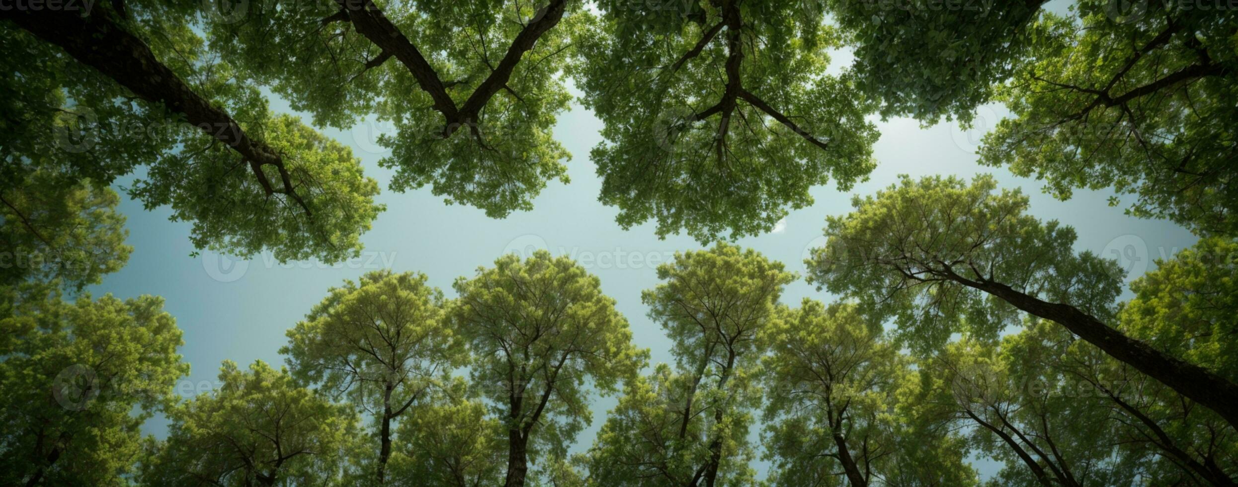 Looking up at the green tops of trees. AI generated photo