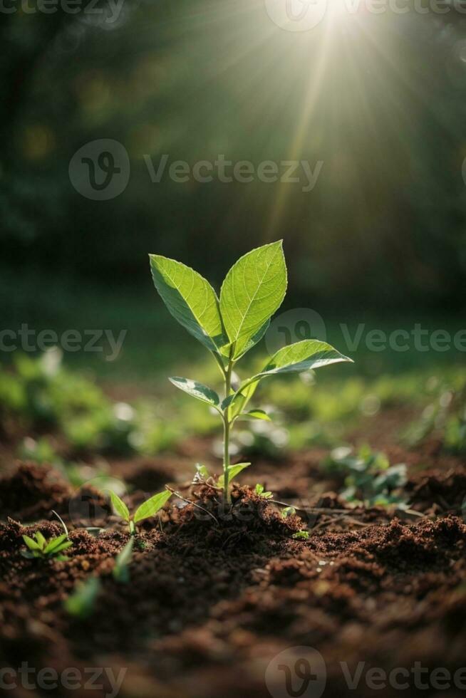 Young sprout. AI generated photo