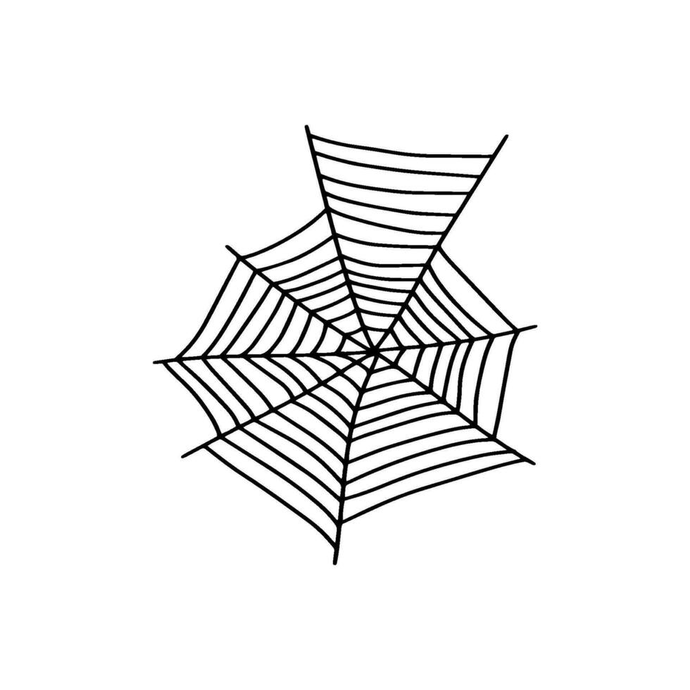 Cobweb. Spooky Halloween spider web. Vector isolated illustration. Gossamer. Spiderweb outline sign