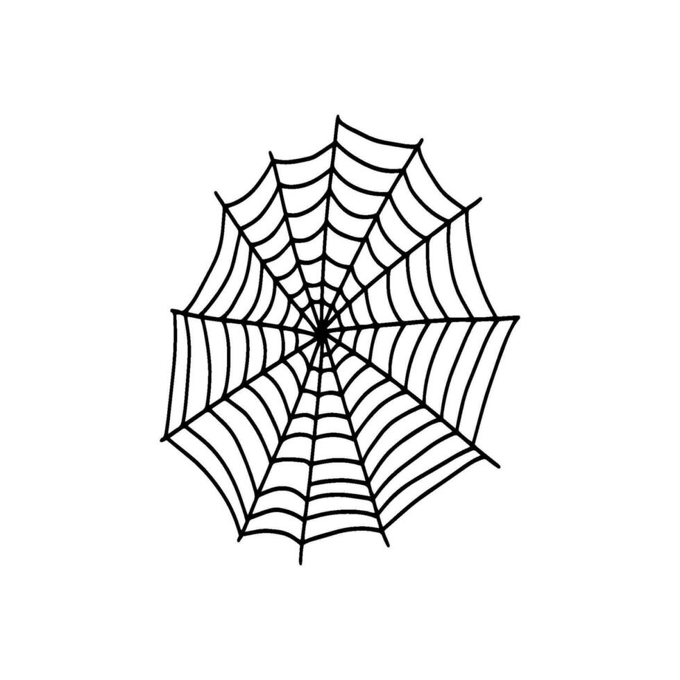 Cobweb. Spooky Halloween spider web. Vector isolated illustration. Gossamer. Spiderweb outline sign