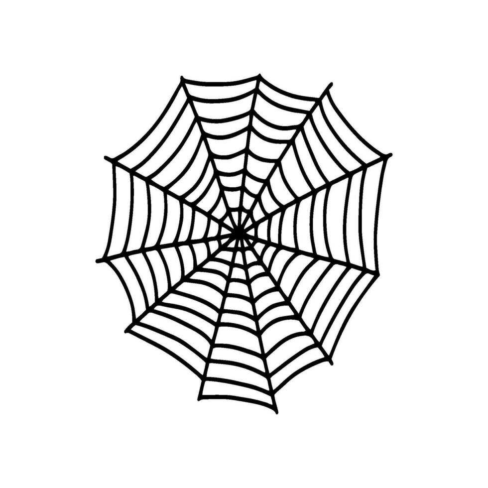 Cobweb. Spooky Halloween spider web. Vector isolated illustration. Gossamer. Spiderweb outline sign