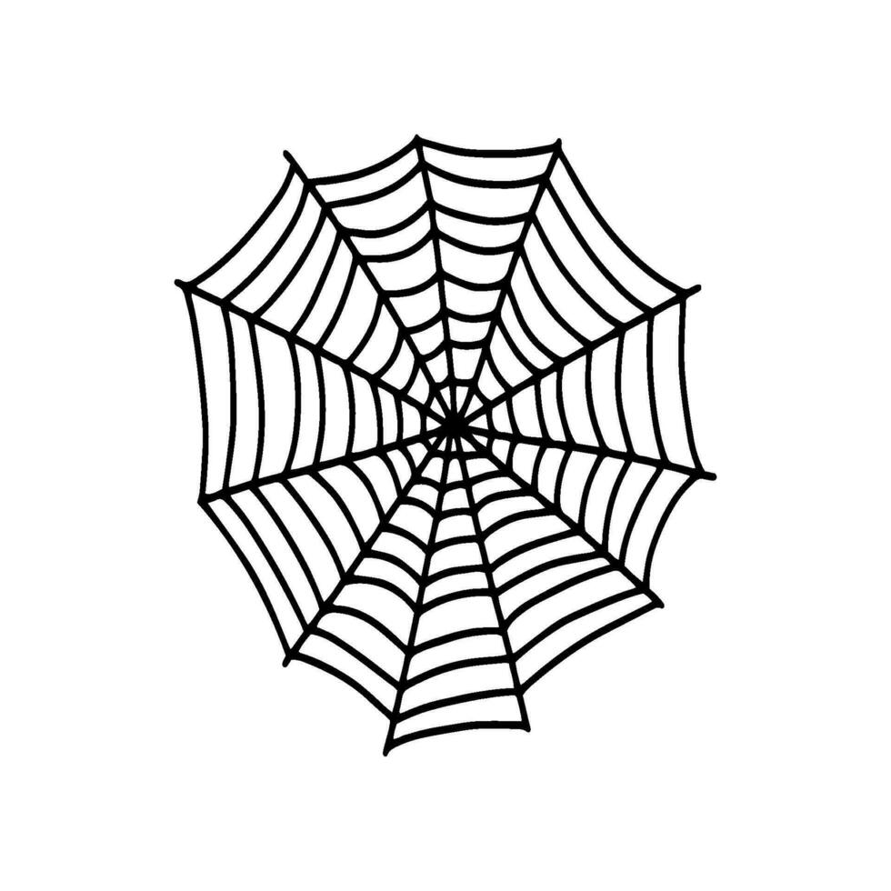 Cobweb. Spooky Halloween spider web. Vector isolated illustration. Gossamer. Spiderweb outline sign