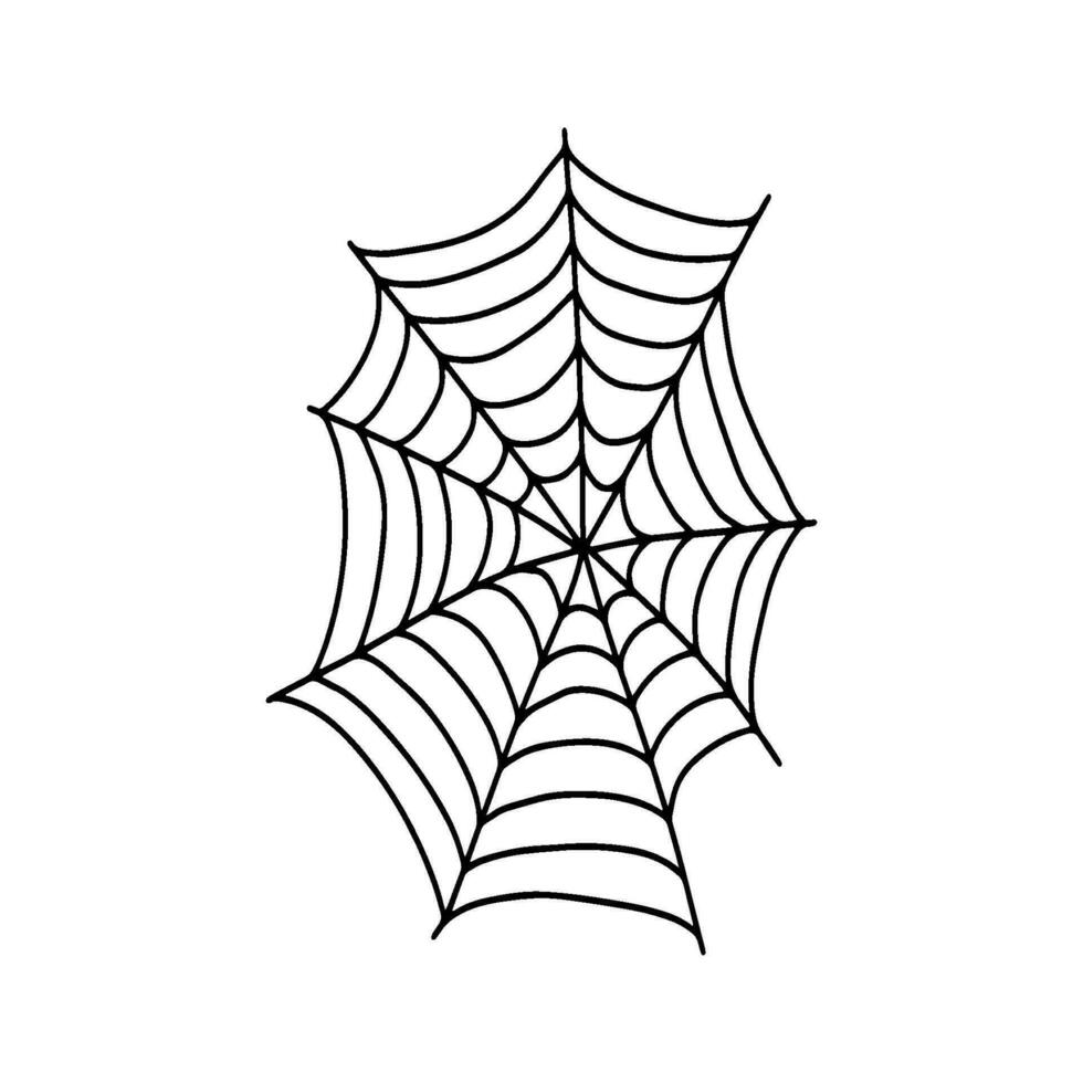 Cobweb. Spooky Halloween spider web. Vector isolated illustration. Gossamer. Spiderweb outline sign