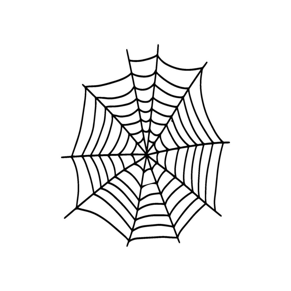 Cobweb. Spooky Halloween spider web. Vector isolated illustration. Gossamer. Spiderweb outline sign