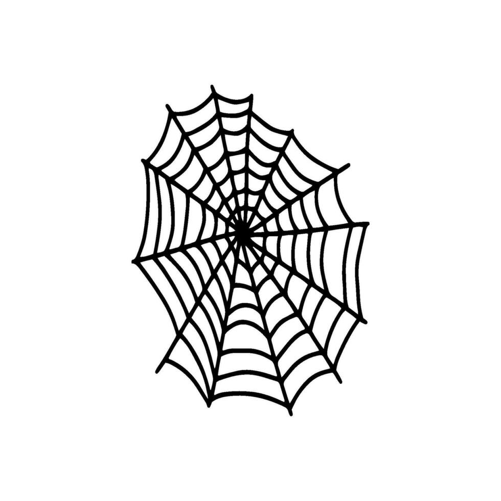 Cobweb. Spooky Halloween spider web. Vector isolated illustration. Gossamer. Spiderweb outline sign