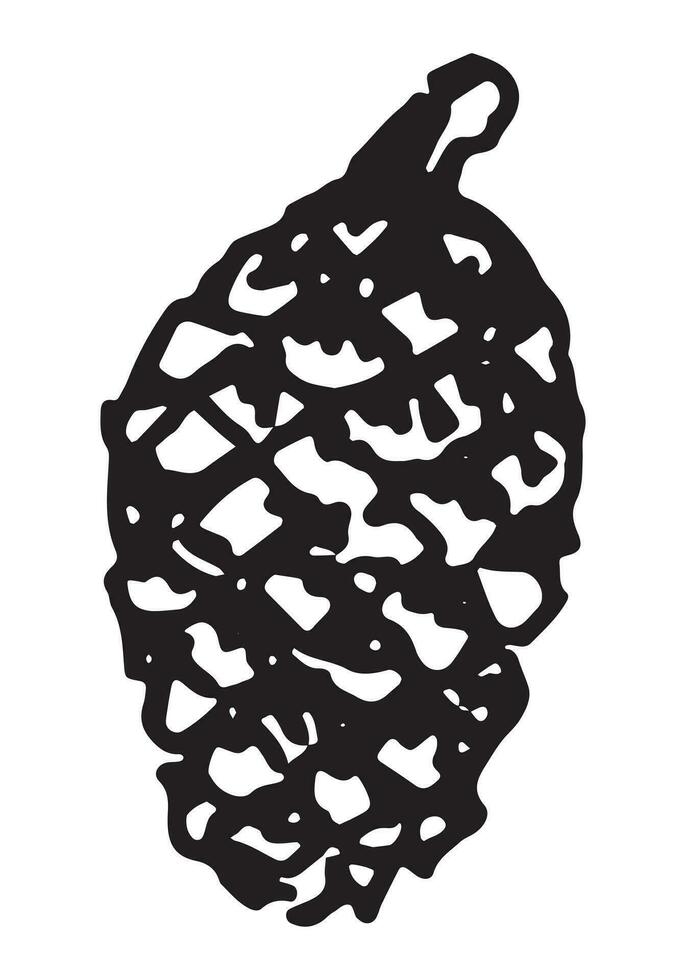 Outline clipart of pine cone. Doodle of autumn forest harvest. Hand drawn vector illustration isolated on white background.