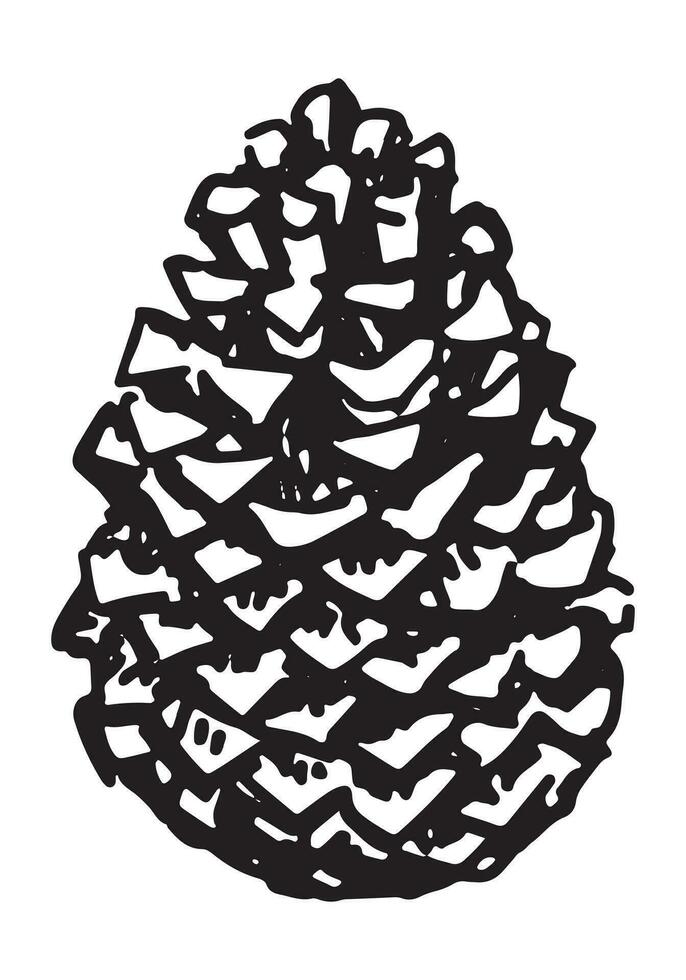 Outline clipart of pine cone. Doodle of autumn forest harvest. Hand drawn vector illustration isolated on white background.