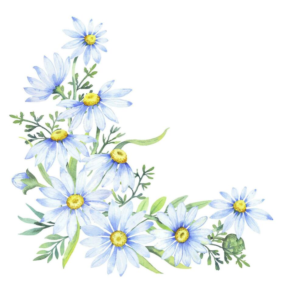 Bouquet of daisies, vector watercolor illustration. Chamomile floral arrangement of garden daisy flowers, petals, leaves and buds