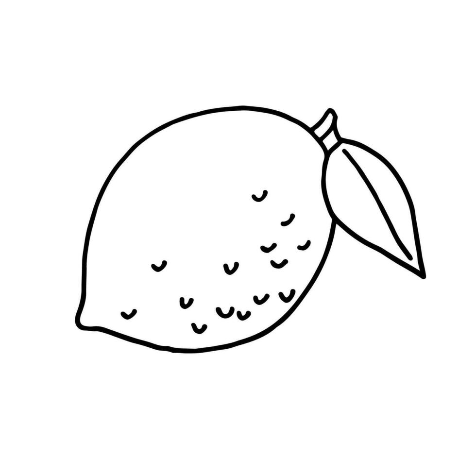 Fruit doodle lemon. Fresh, healthy, tropical food. Hand drawn illustration. vector