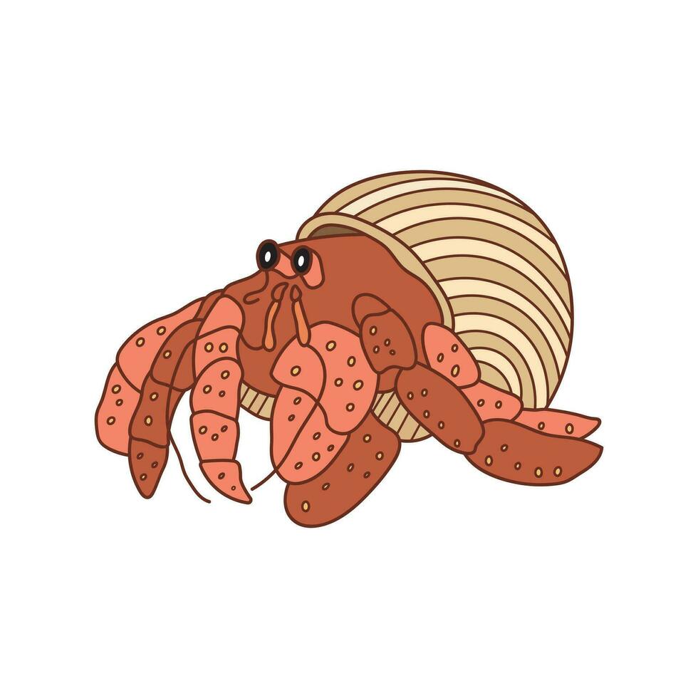 Cartoon Vector illustration cute hermit crab icon Isolated on White Background