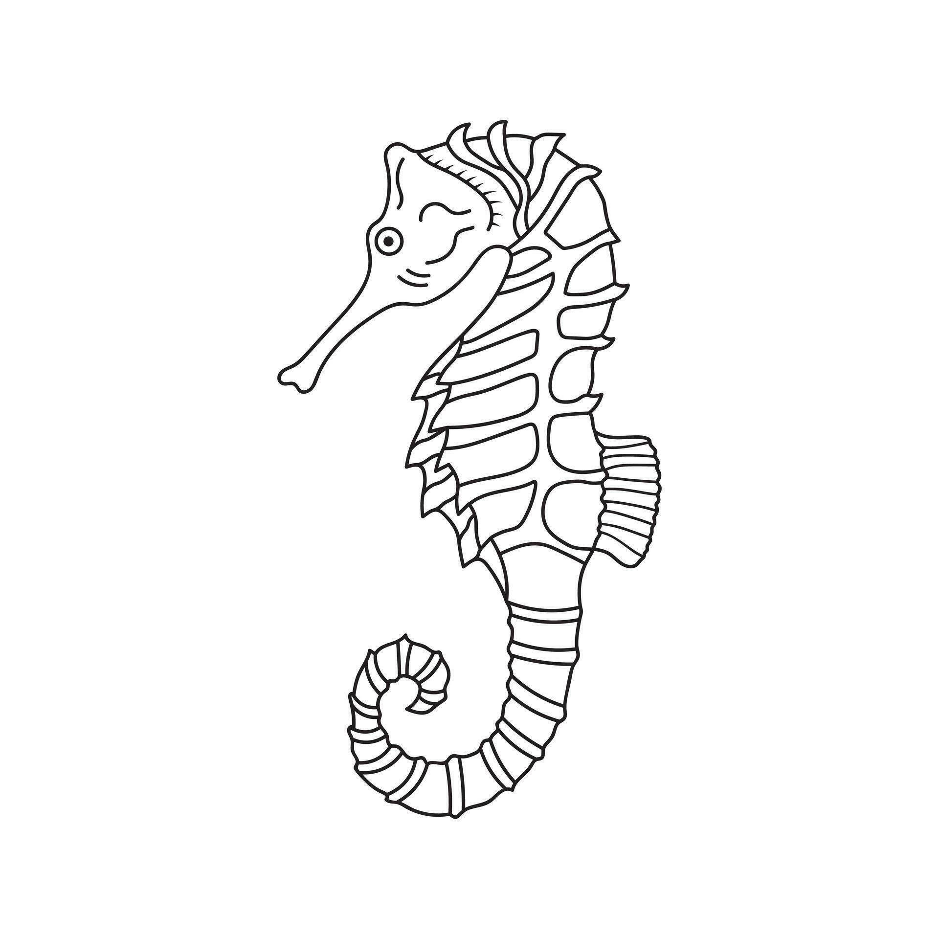 Hand drawn Cartoon Vector illustration seahorses icon Isolated on White ...