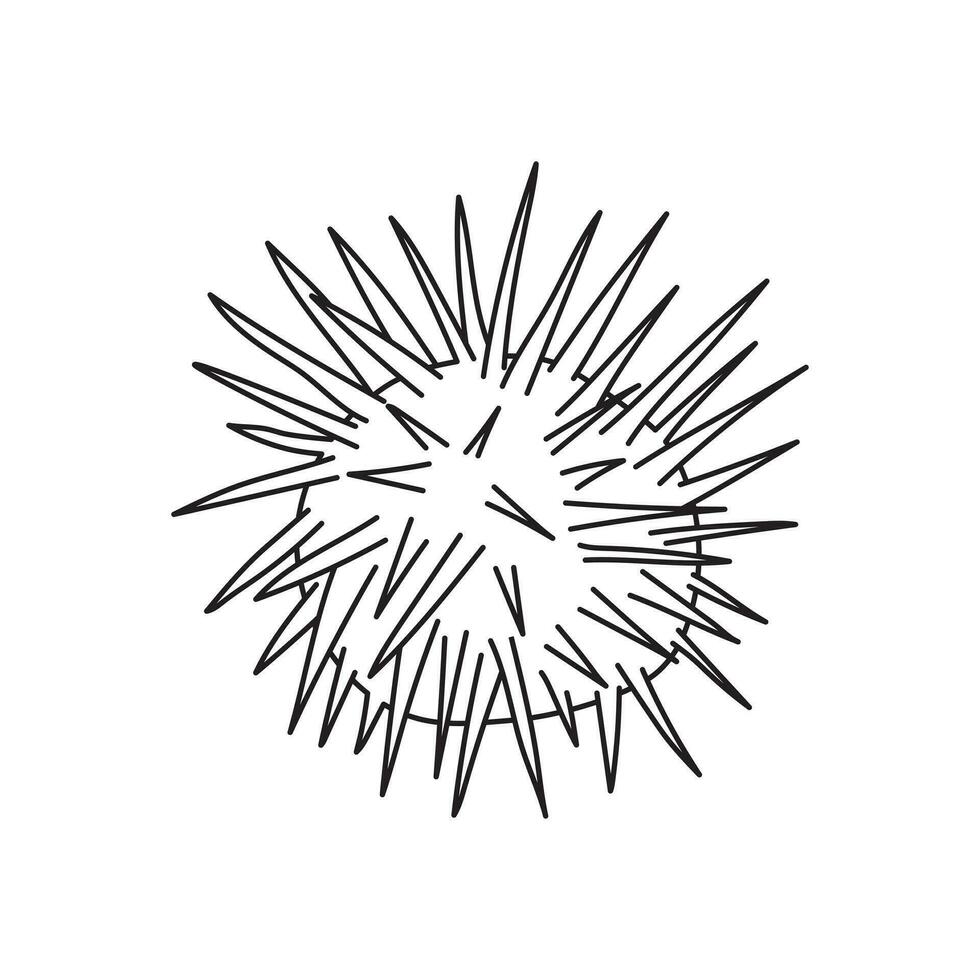 Hand drawn Cartoon Vector illustration sea urchins icon Isolated on White Background