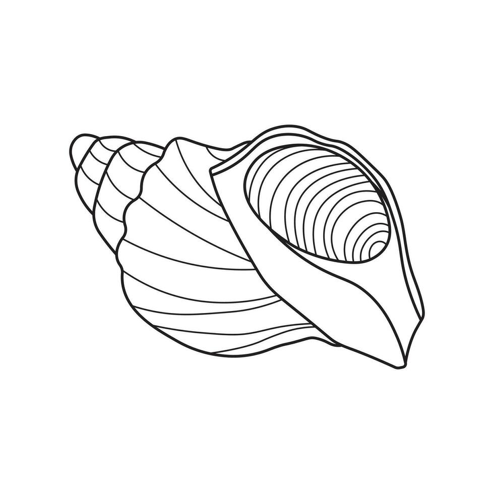 Hand drawn Cartoon Vector illustration seashell icon Isolated on White Background