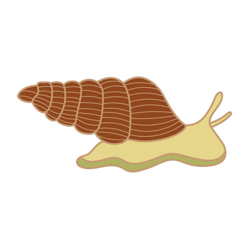 Cartoon Vector illustration sea snail icon Isolated on White Background