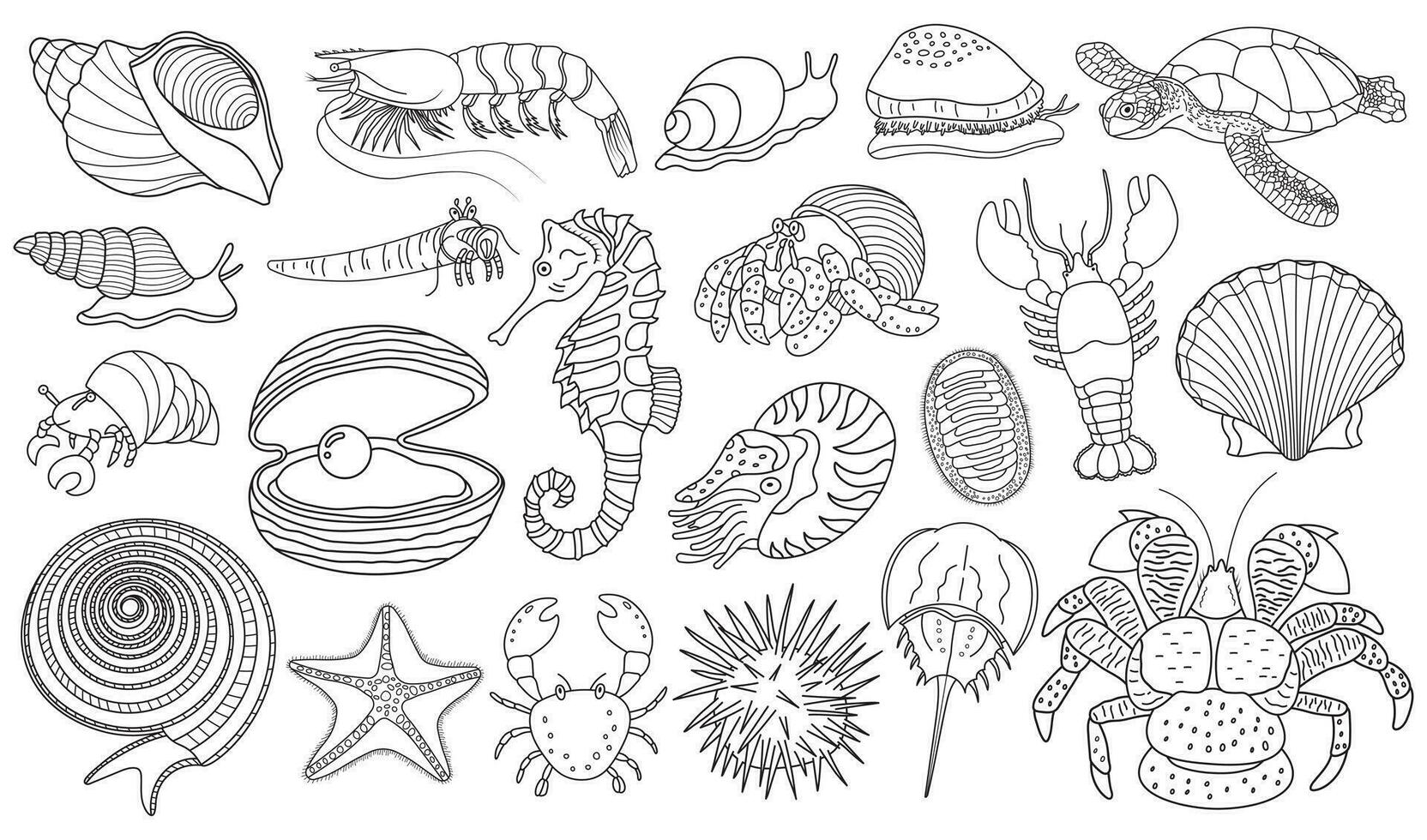 set of hand drawn underwater creatures. hermit crab, lobster, seashells, snail, coconut crab, sea turtle, sea star, cowry, chiton, nautilus, horseshoe crab vector