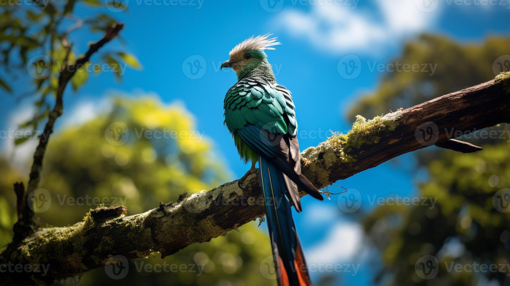 foto de quetzal en El r bosque con azul cielo. generativo ai