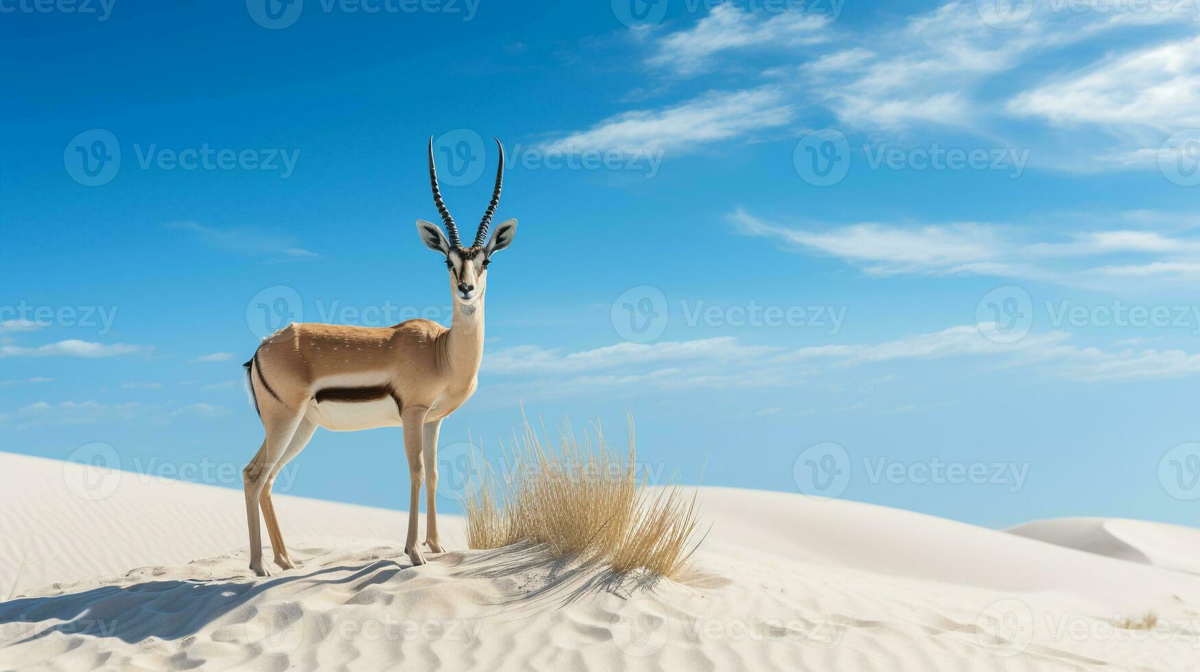 Photo of a Sand Gazelle in a Desert with blue sky. Generative AI