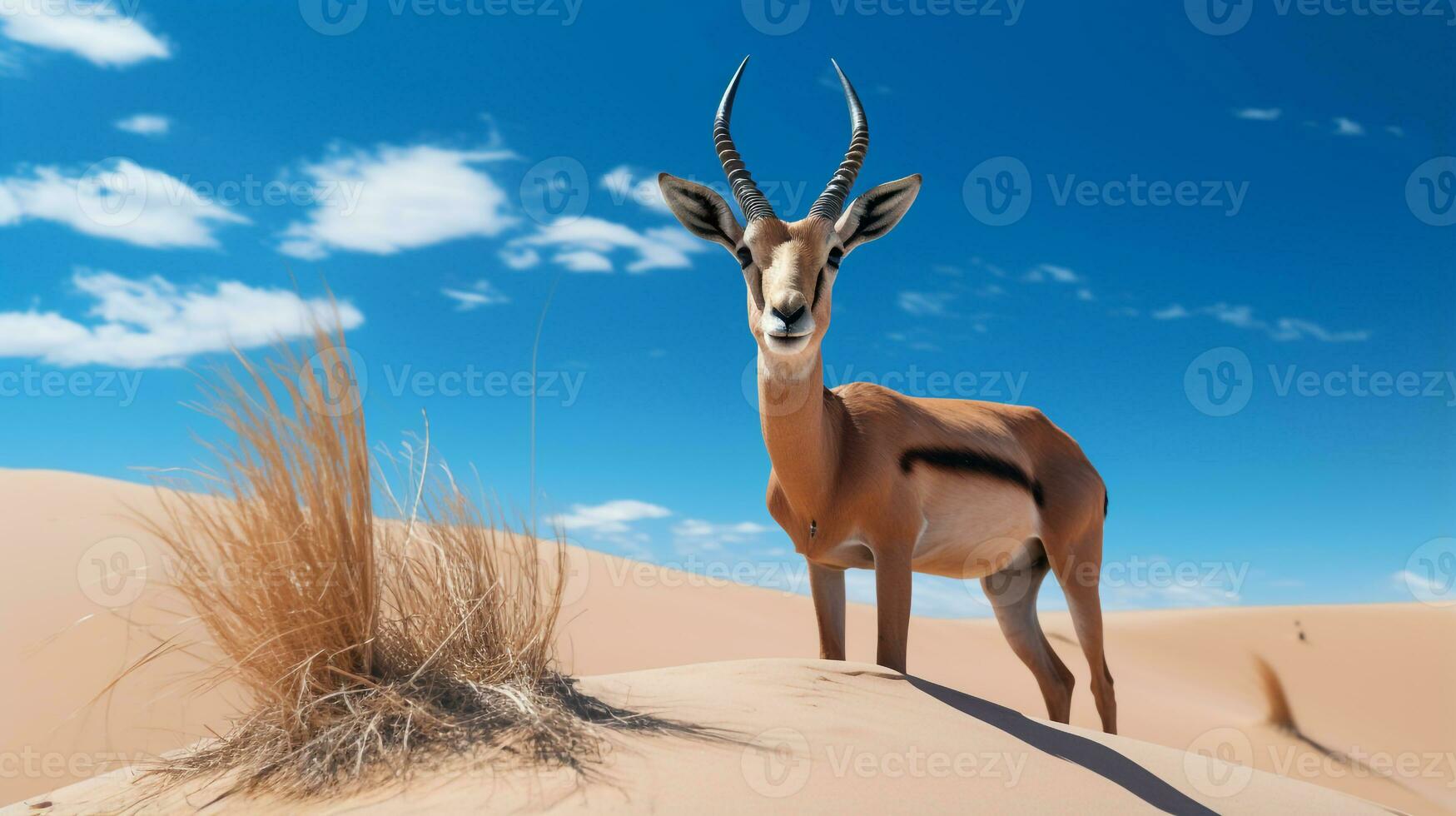 Photo of a Sand Gazelle in a Desert with blue sky. Generative AI