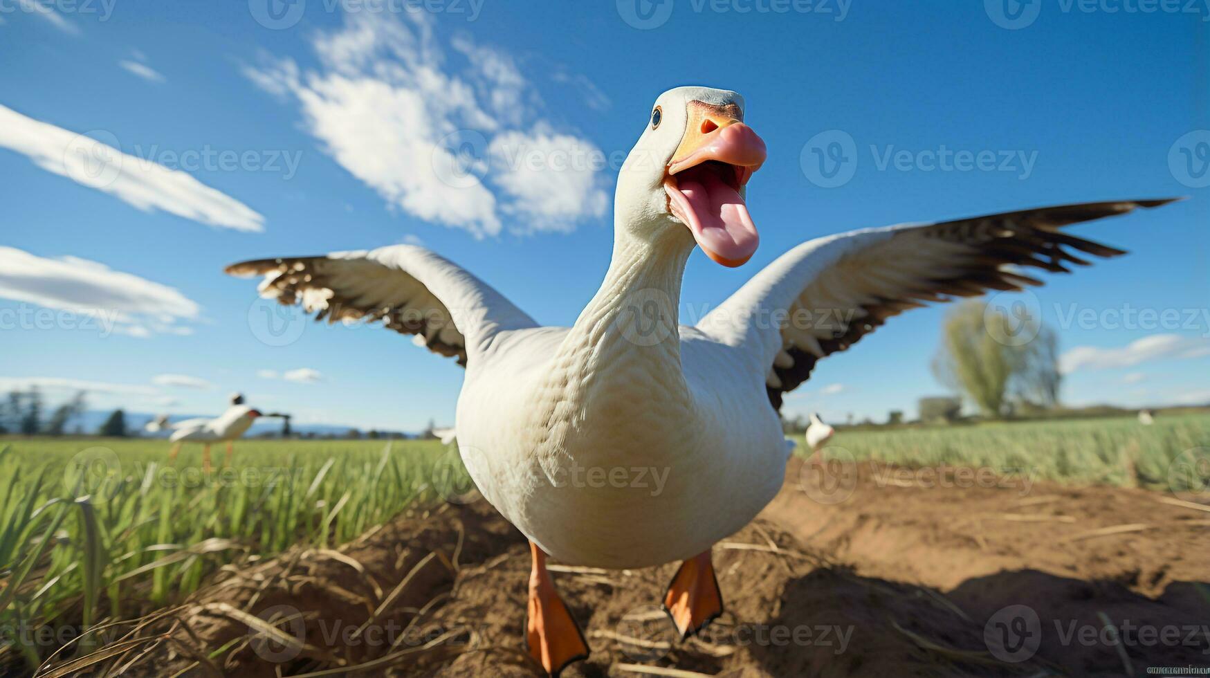 Photo of a Goose in the Farmland. Generative AI