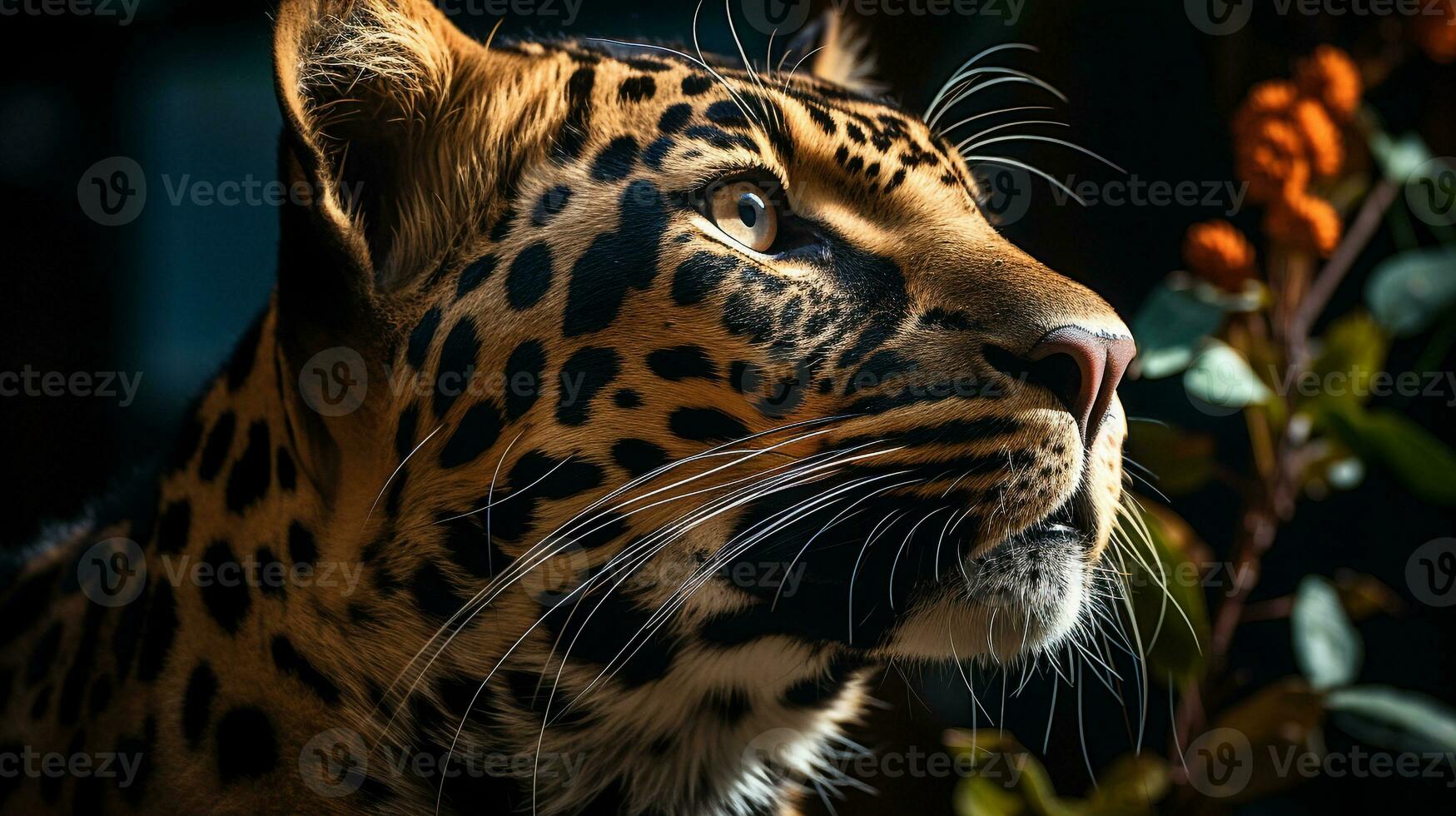 de cerca foto de un leopardo mirando ninguna dirección en selva. generativo ai