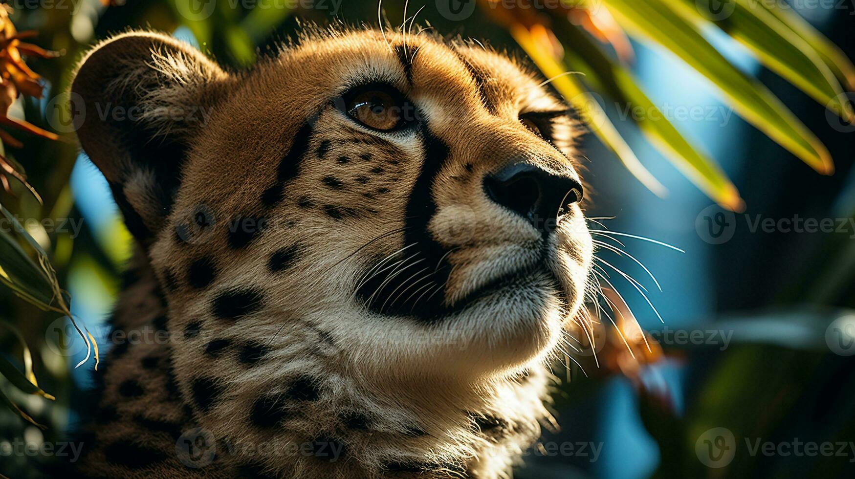 de cerca foto de un leopardo mirando ninguna dirección en selva. generativo ai