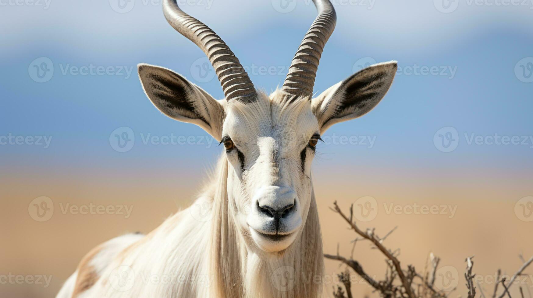 Close-up photo of a Arabian Oryx looking any direction in the Desert. Generative AI