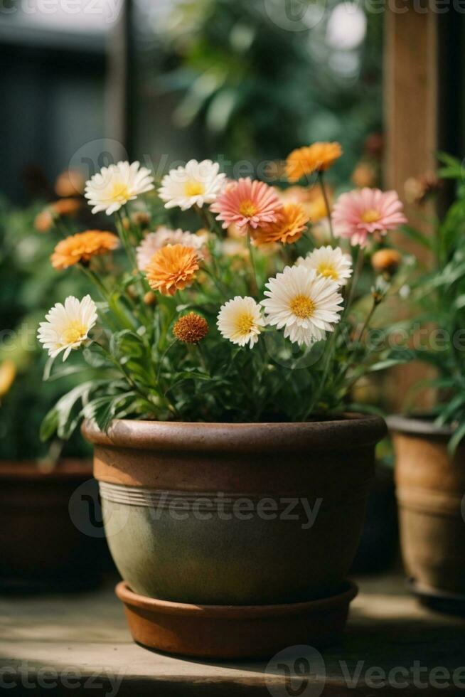 flor naturaleza jardín botánica margarita floración maceta. ai generado foto