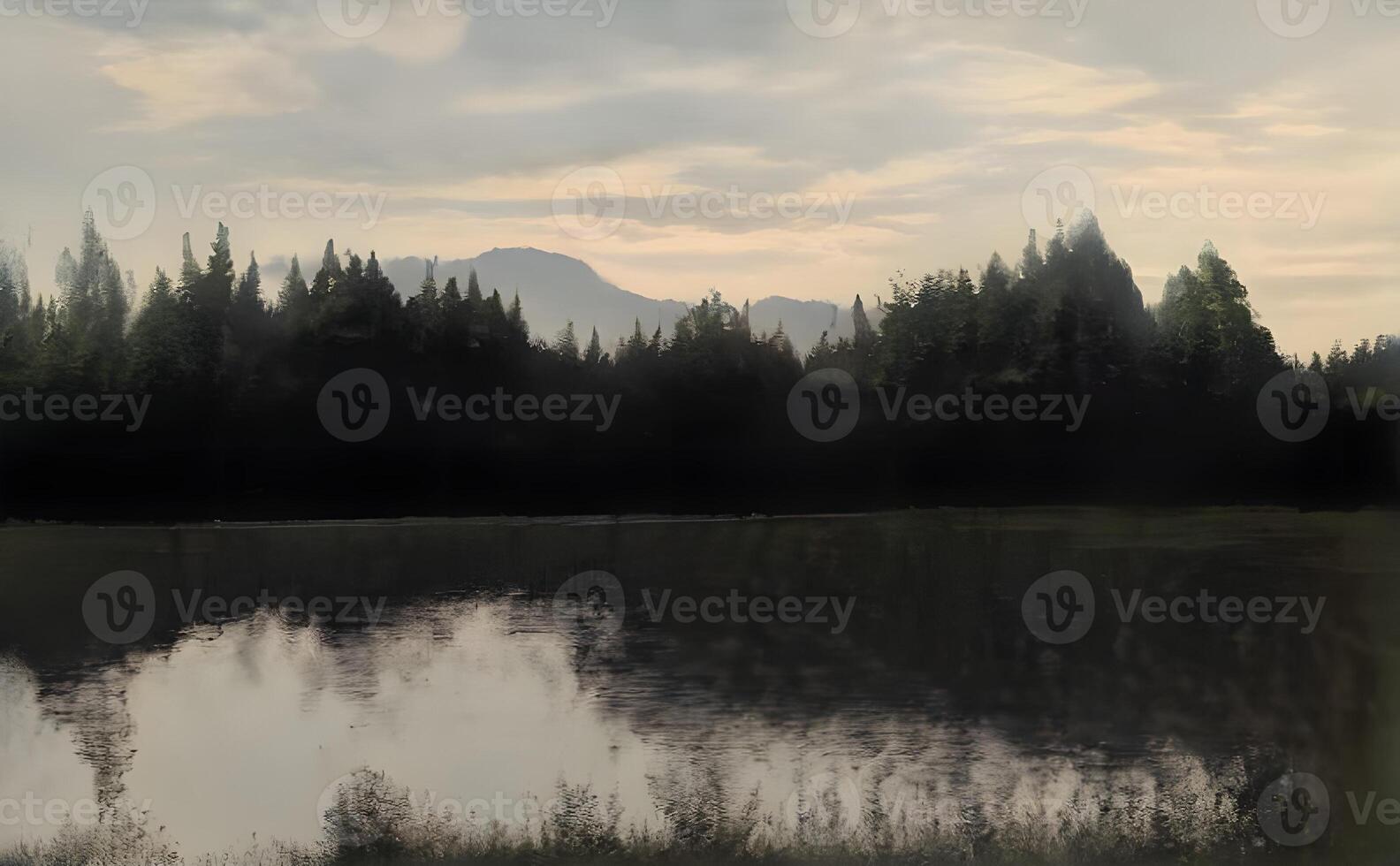 morning in the forest with lake, photo