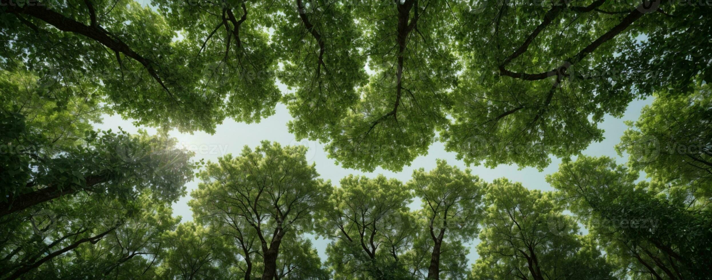 Looking up at the green tops of trees. AI generated photo