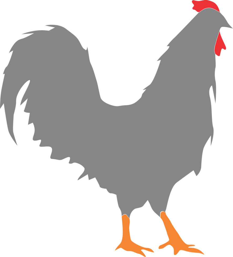 Rooster silhouette illustration png