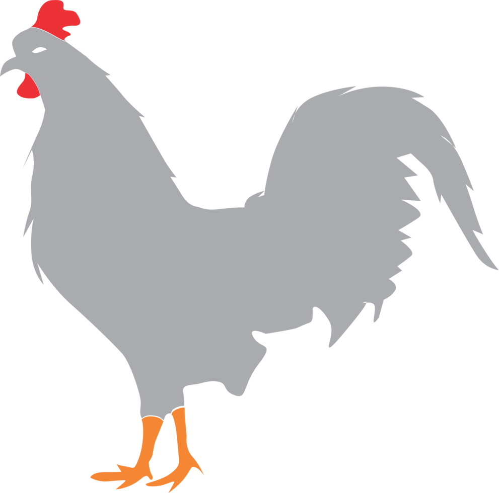 Rooster silhouette illustration png
