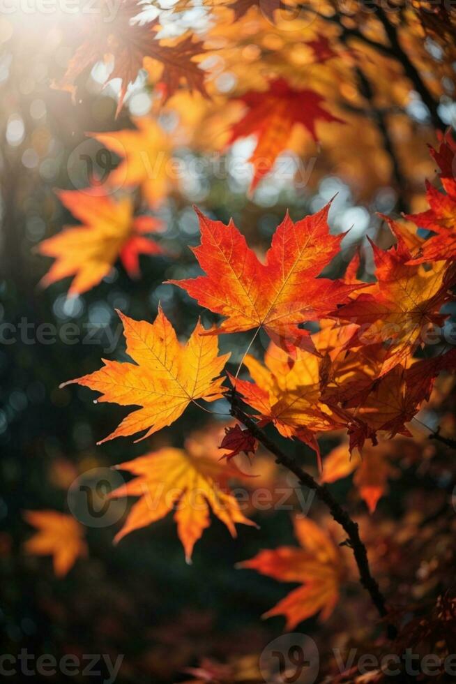 Colorful autumn maple leaves on a tree branch. AI generated photo