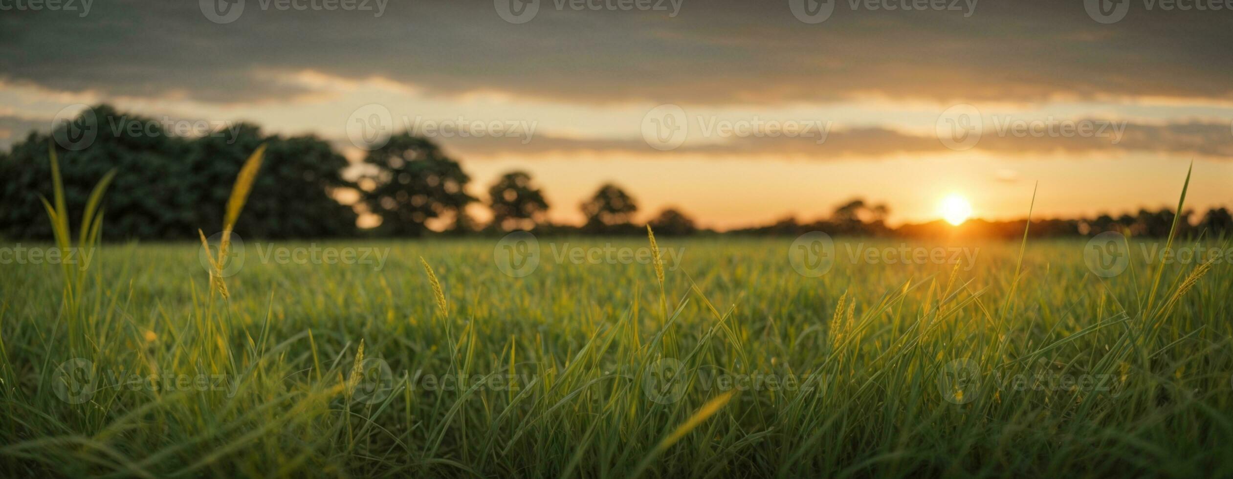 Green grass with sunset views.. AI generated photo