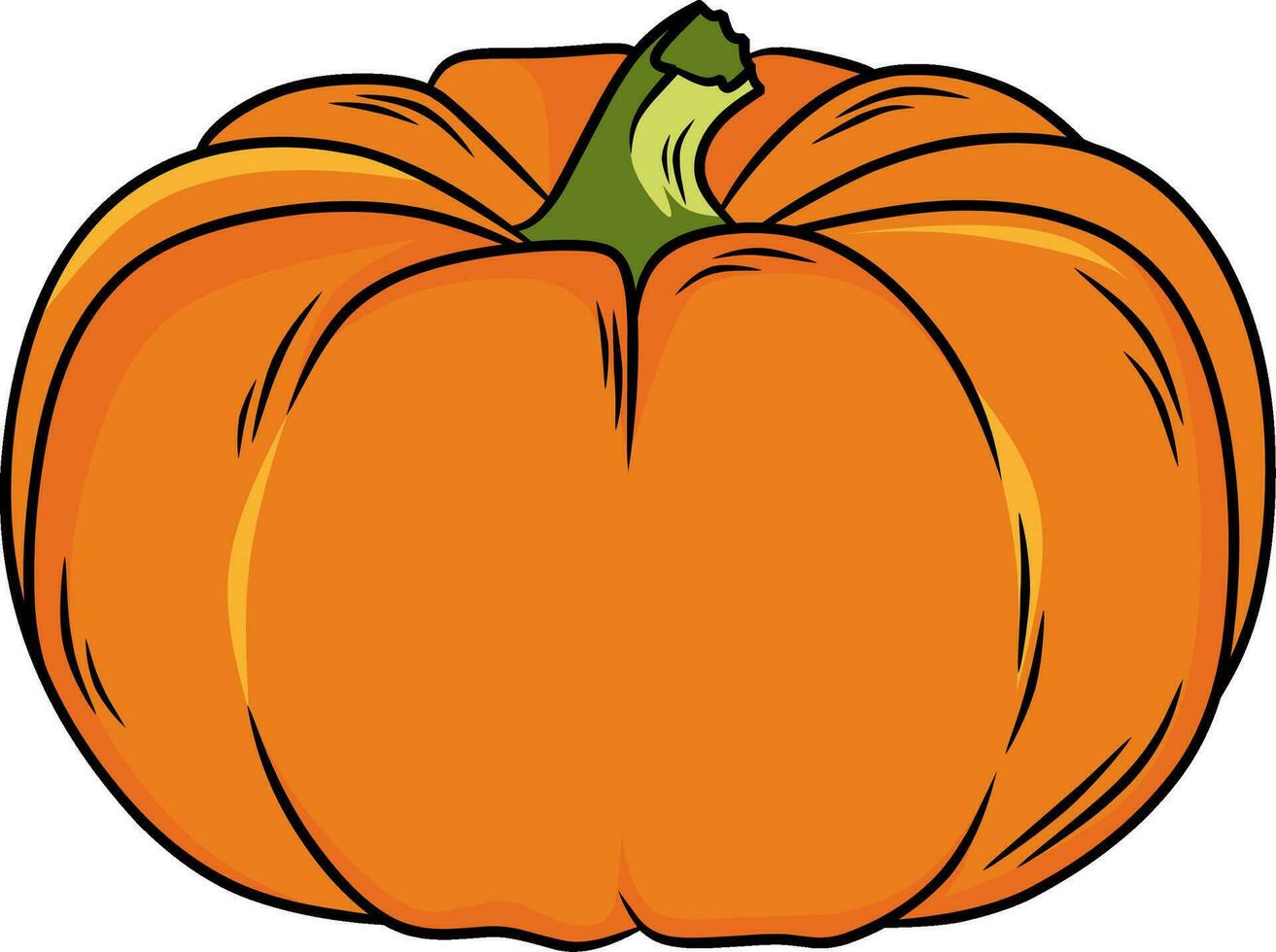 Pumpkin fruit vector illustration drawing