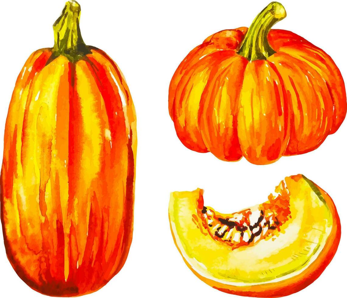 Watercolor set of pumkins three autumn cliparts hand drawn vector